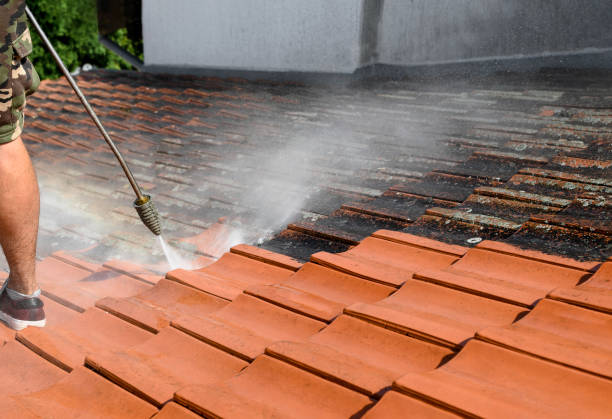 Best Commercial Building Pressure Washing  in Mount Vernon, IA