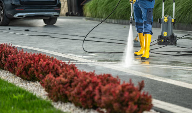 Best Affordable Pressure Washing  in Mount Vernon, IA