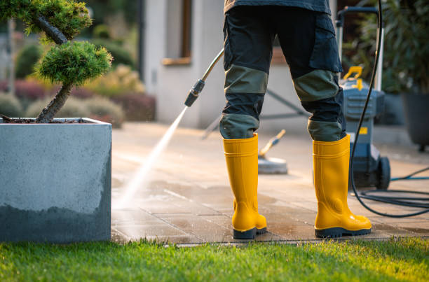 Best Affordable Pressure Washing  in Mount Vernon, IA